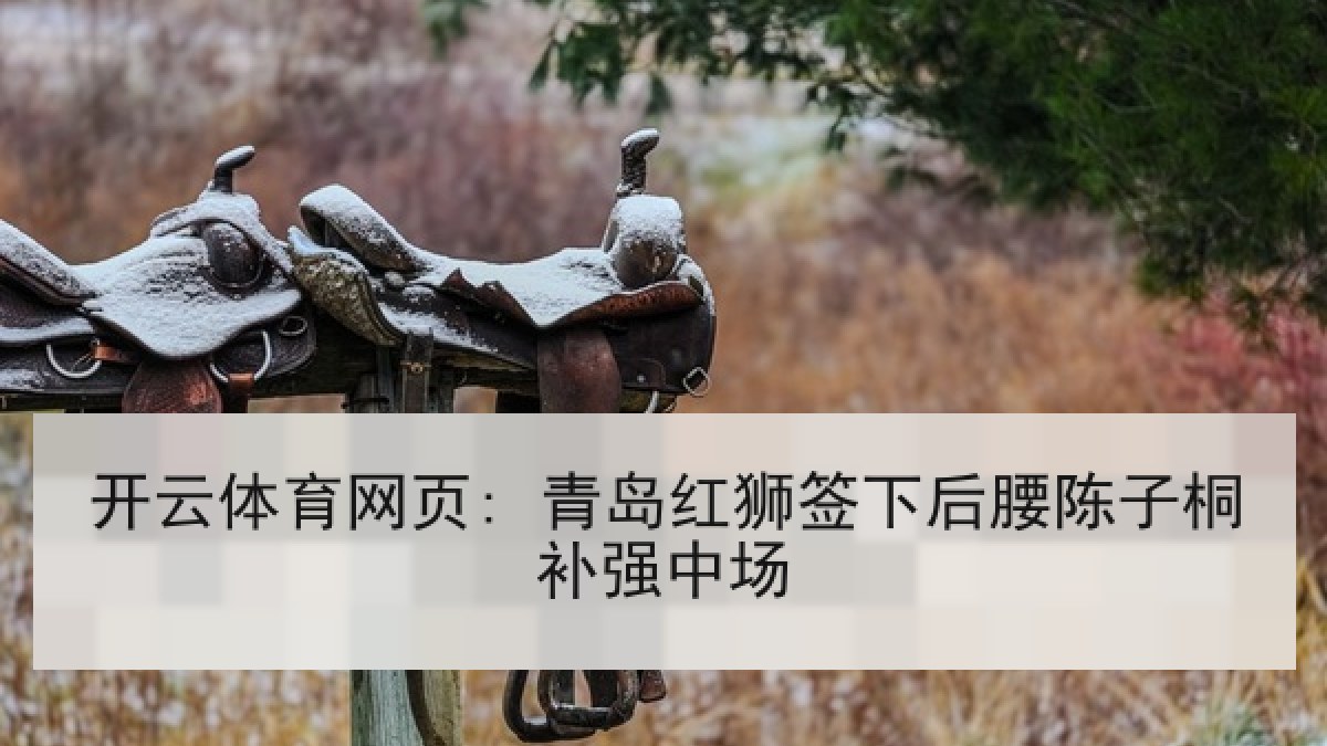 开云体育网页: 青岛红狮签下后腰陈子桐补强中场