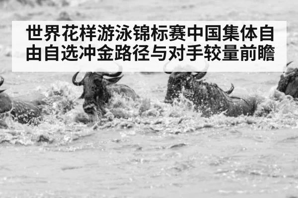 世界花样游泳锦标赛中国集体自由自选冲金路径与对手较量前瞻